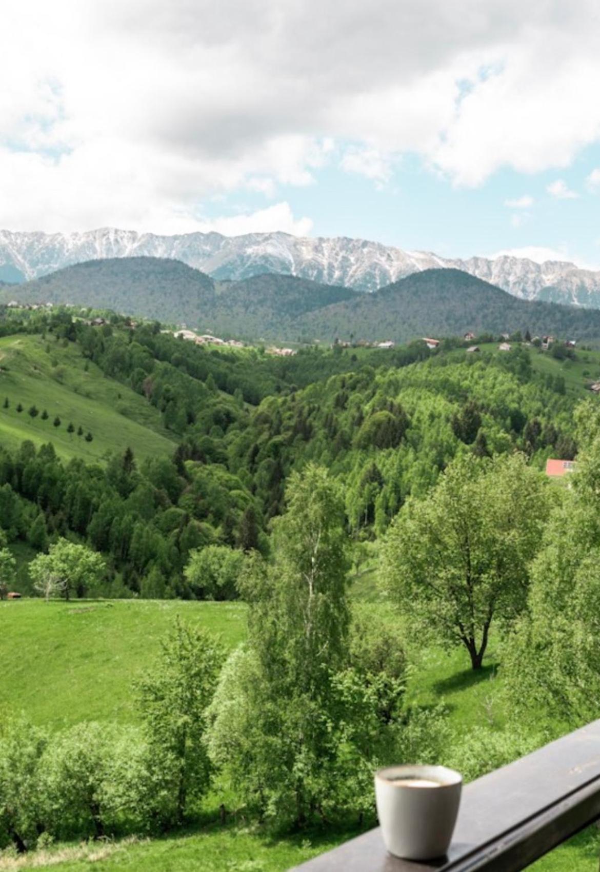 Akasha Retreat - Adult Only Bran (Brasov) Exterior foto